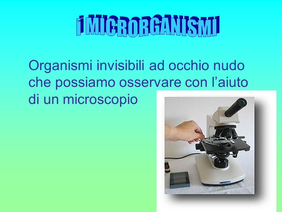 i MICRORGANISMI Organismi invisibili ad occhio nudo.