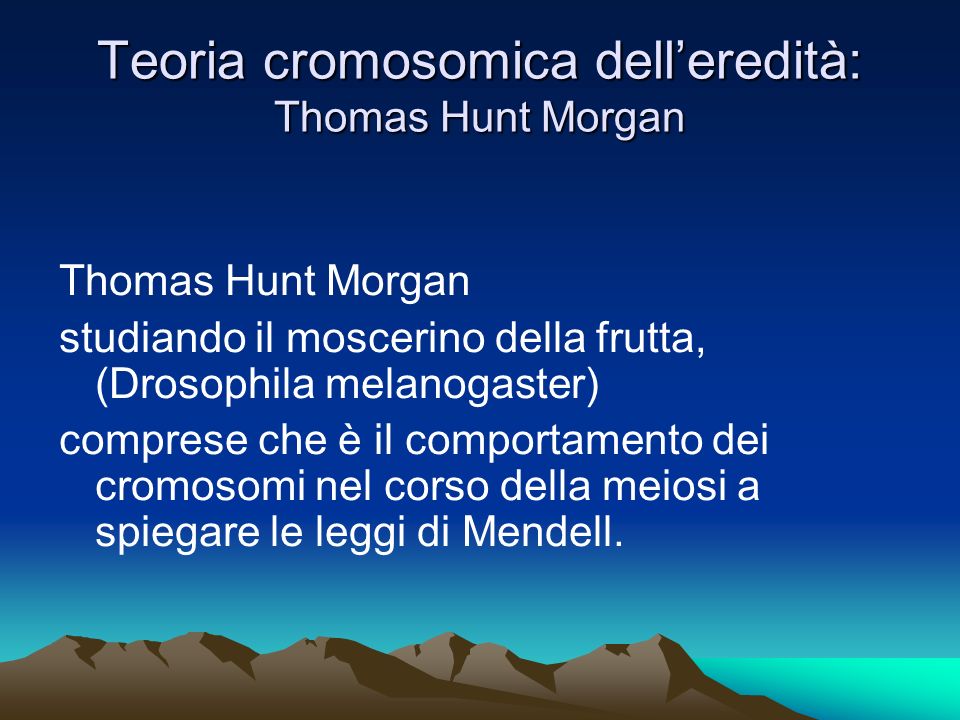 Teoria cromosomica dell’eredità: Thomas Hunt Morgan