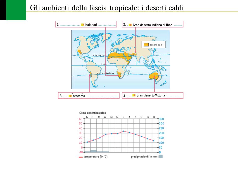 Gli ambienti della fascia tropicale: i deserti caldi
