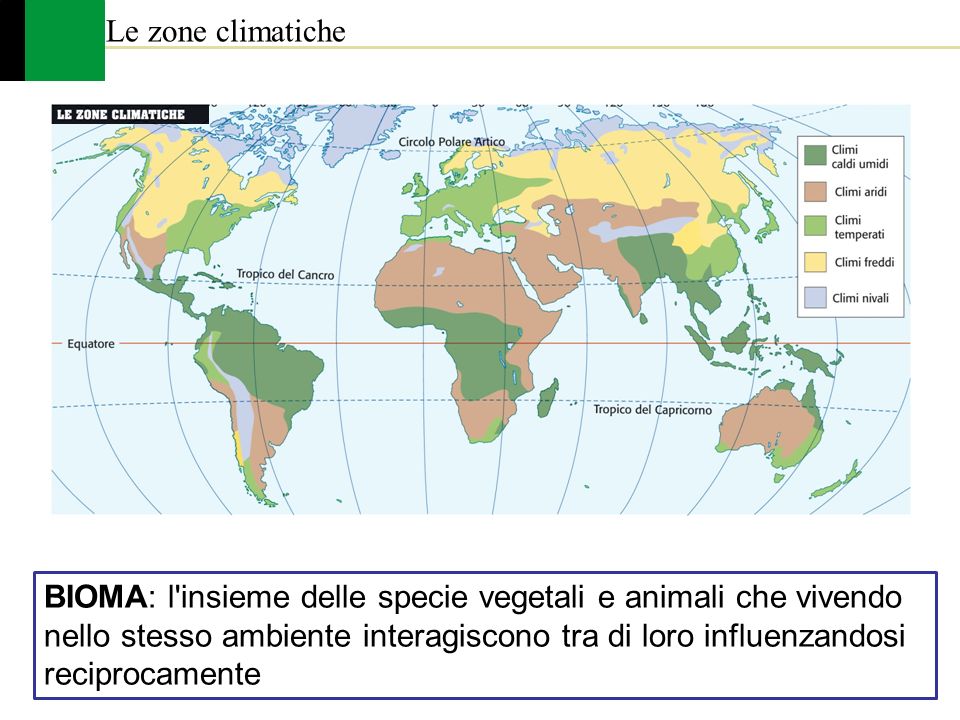 Le zone climatiche BIOMA: l insieme delle specie vegetali e animali che vivendo. nello stesso ambiente interagiscono tra di loro influenzandosi.