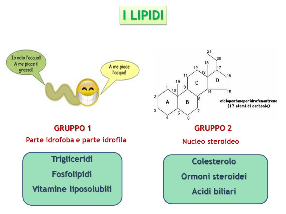 Vitamine liposolubili Parte idrofoba e parte idrofila