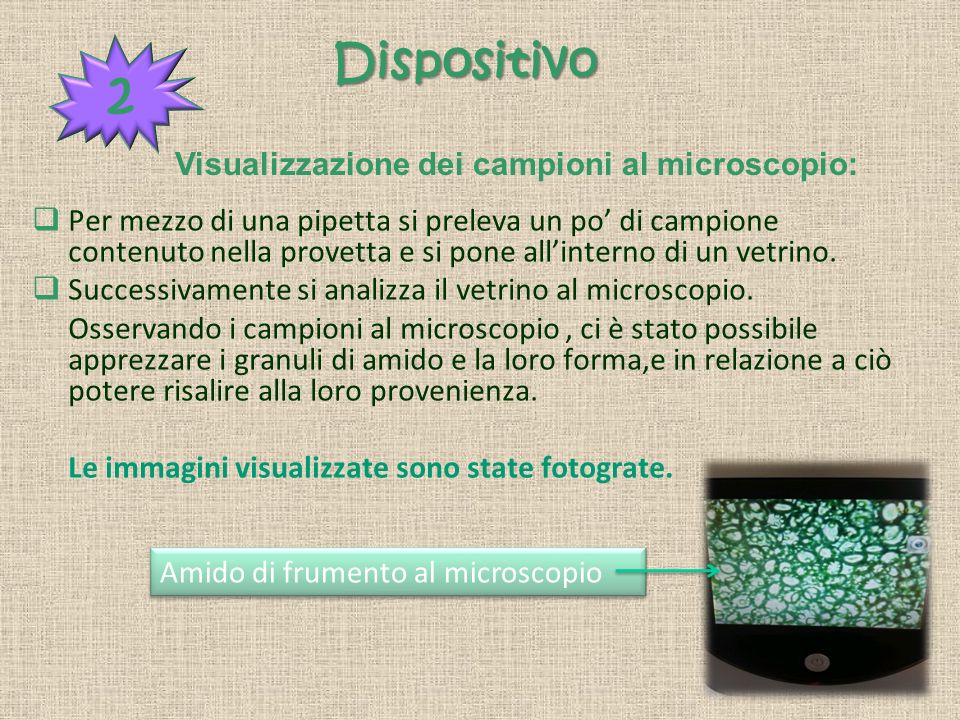 2 Dispositivo Visualizzazione dei campioni al microscopio: