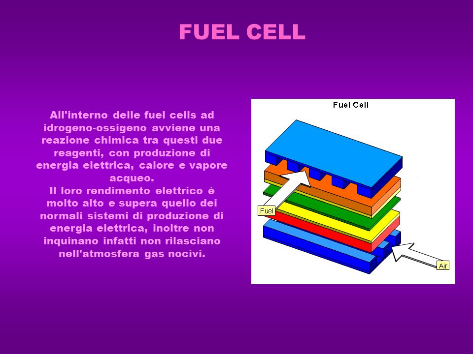 FUEL CELL