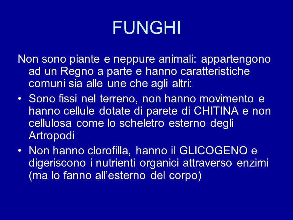 FUNGHI Non sono piante e neppure animali: appartengono ad un Regno a parte e hanno caratteristiche comuni sia alle une che agli altri:
