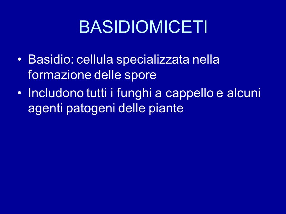BASIDIOMICETI Basidio: cellula specializzata nella formazione delle spore.