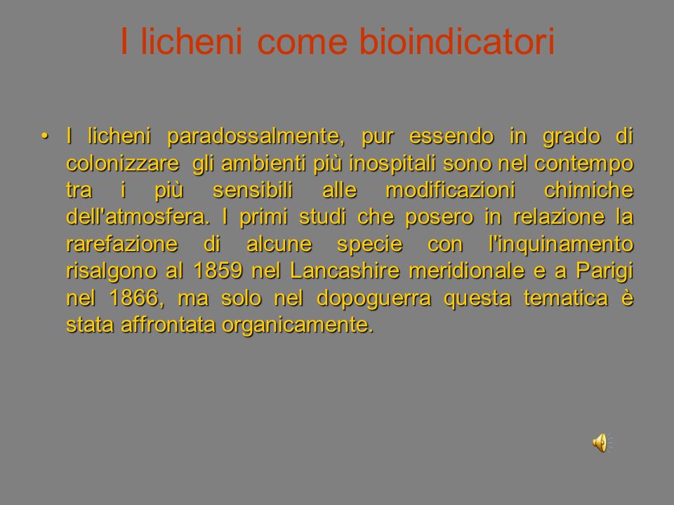 I licheni come bioindicatori