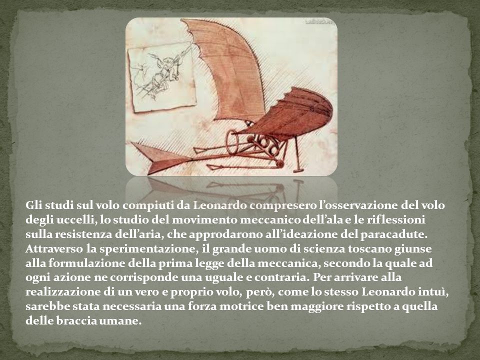 Gli studi sul volo compiuti da Leonardo compresero l’osservazione del volo degli uccelli, lo studio del movimento meccanico dell’ala e le riflessioni sulla resistenza dell’aria, che approdarono all’ideazione del paracadute.