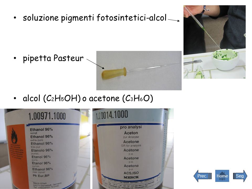 soluzione pigmenti fotosintetici-alcol