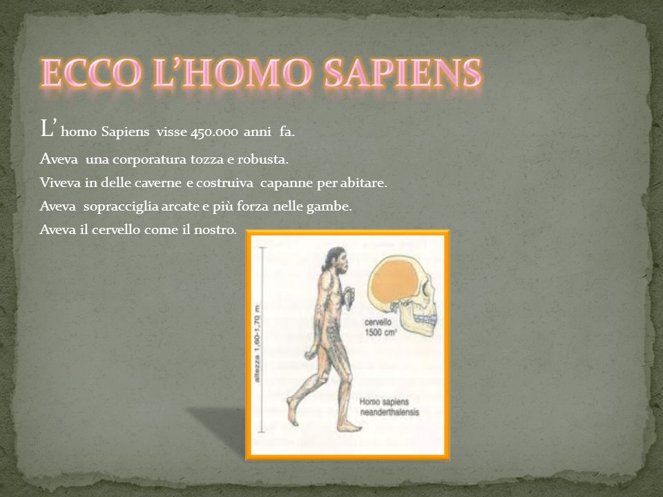 ECCO L’HOMO SAPIENS L’ homo Sapiens visse anni fa.