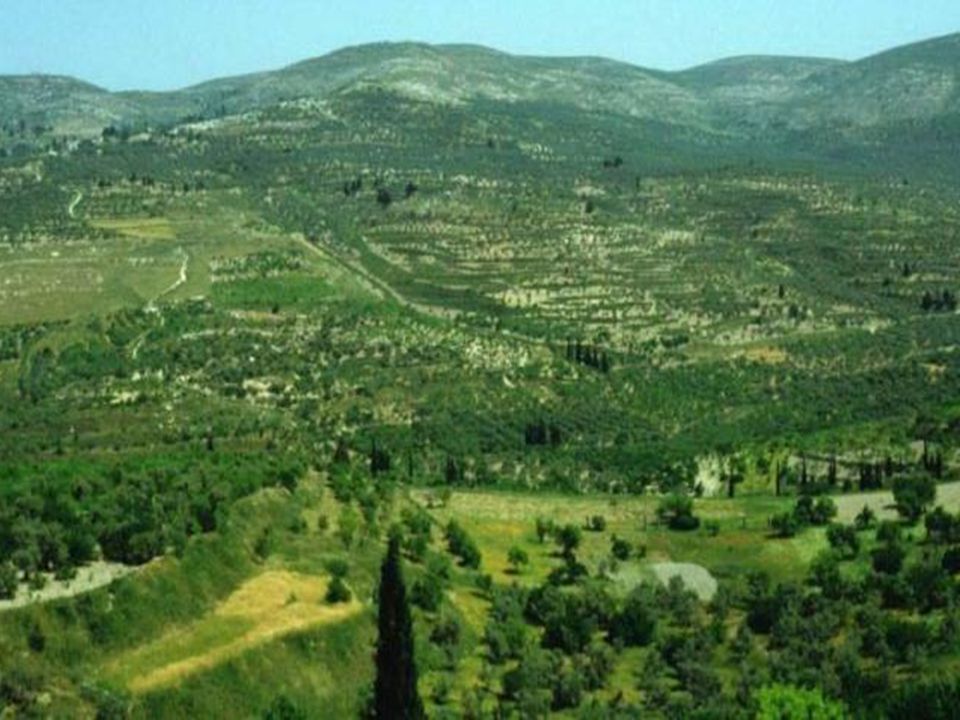 La Samaria: in posizione centrale con montagne degradanti dolcemente, ricca di pascoli, di ampie valli coltivate e con la vasta pianura di Esdrelon, fertilissima.