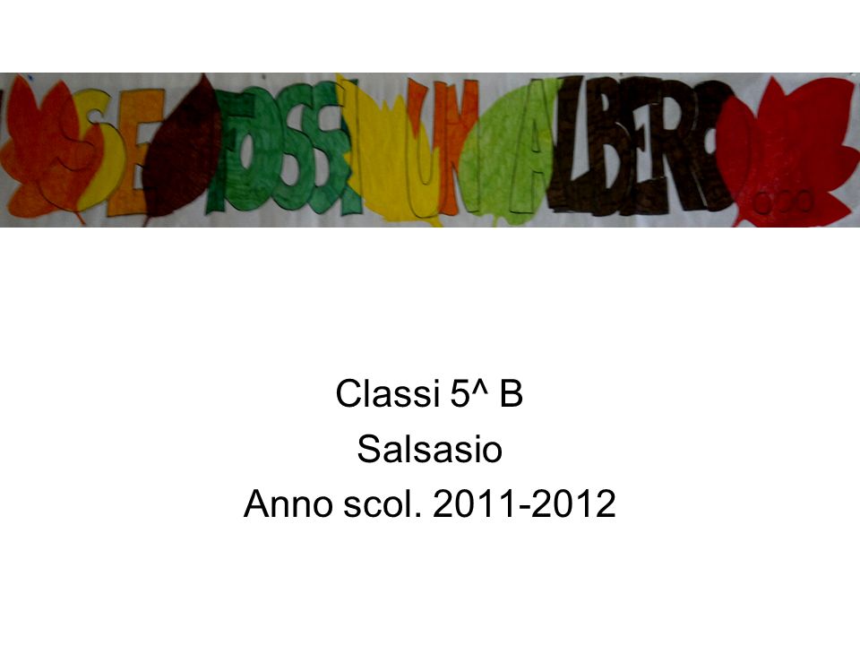 Classi 5^ B Salsasio Anno scol