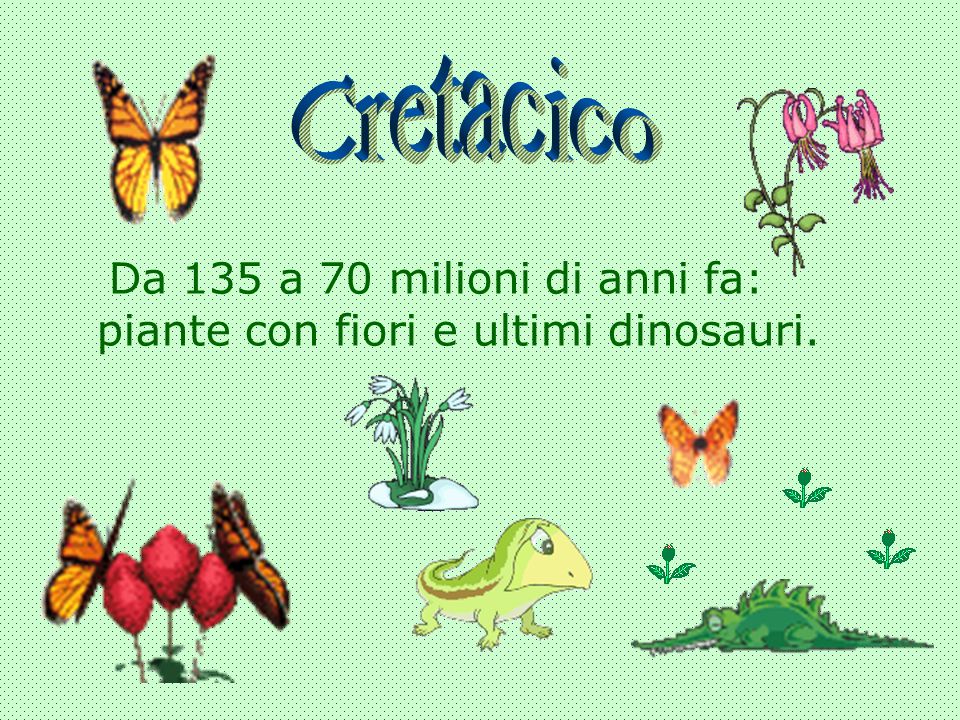 Cretacico Da 135 a 70 milioni di anni fa: piante con fiori e ultimi dinosauri.