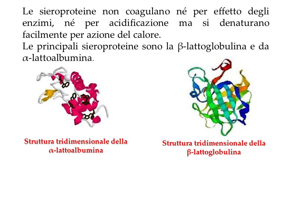 Le sieroproteine non coagulano né per effetto degli enzimi, né per acidificazione ma si denaturano facilmente per azione del calore.