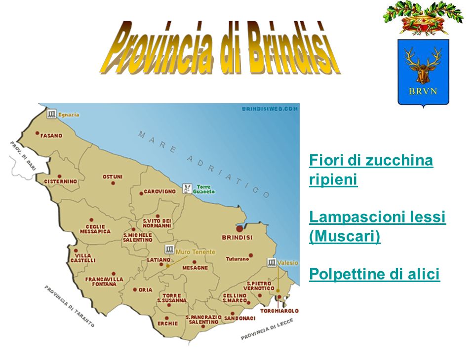 Provincia di Brindisi Fiori di zucchina ripieni