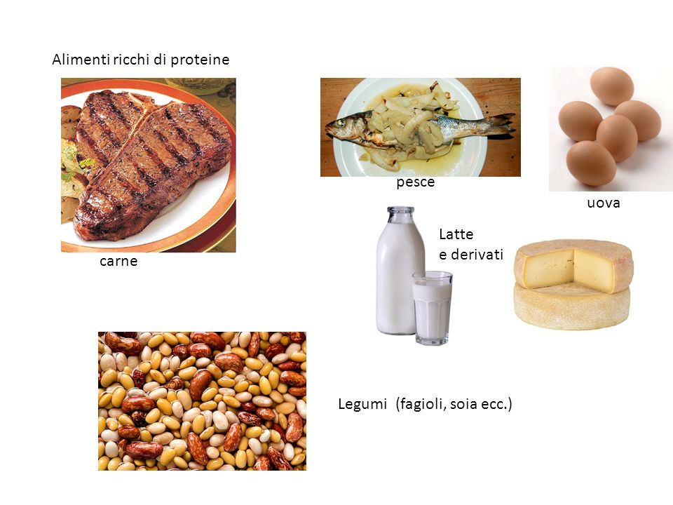 Alimenti ricchi di proteine