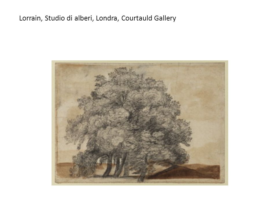 Lorrain, Studio di alberi, Londra, Courtauld Gallery