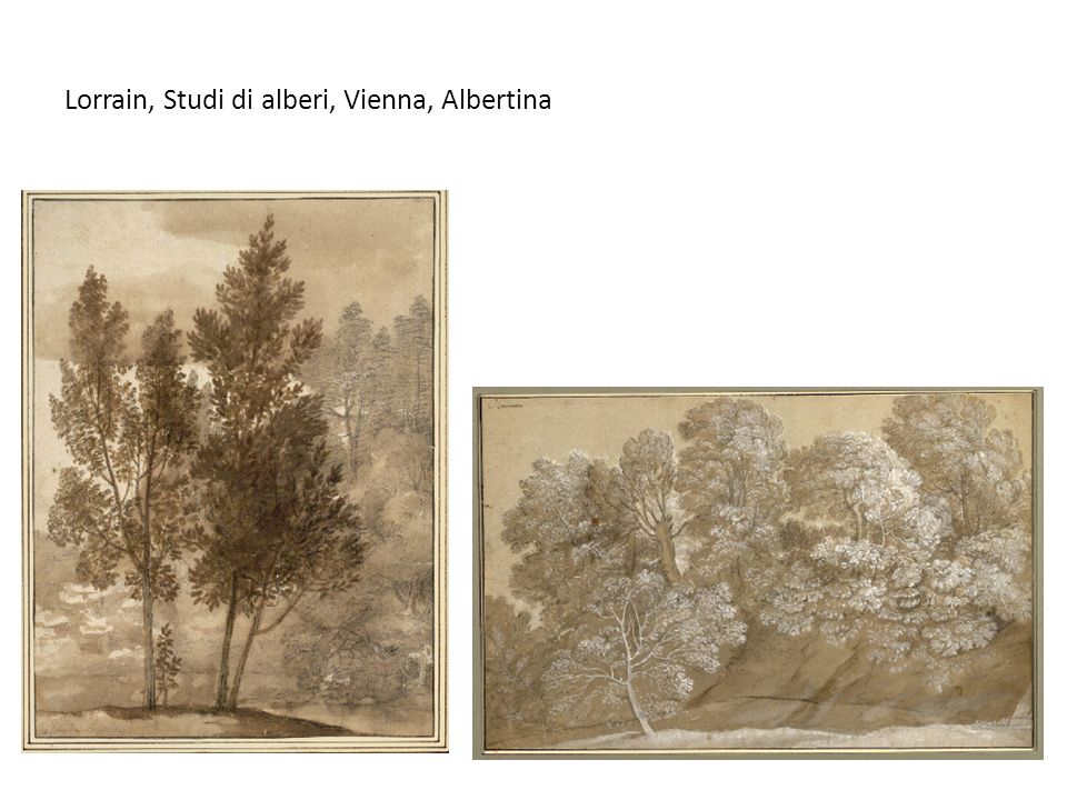 Lorrain, Studi di alberi, Vienna, Albertina