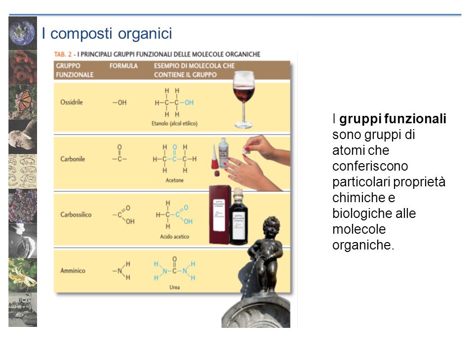 I composti organici I gruppi funzionali sono gruppi di atomi che conferiscono particolari proprietà chimiche e biologiche alle molecole organiche.