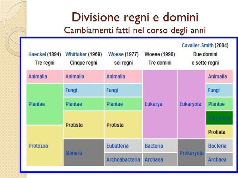 Divisione regni e domini Cambiamenti fatti nel corso degli anni