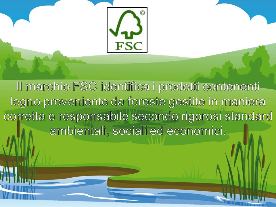 Il marchio FSC identifica i prodotti contenenti legno proveniente da foreste gestite in maniera corretta e responsabile secondo rigorosi standard ambientali, sociali ed economici.