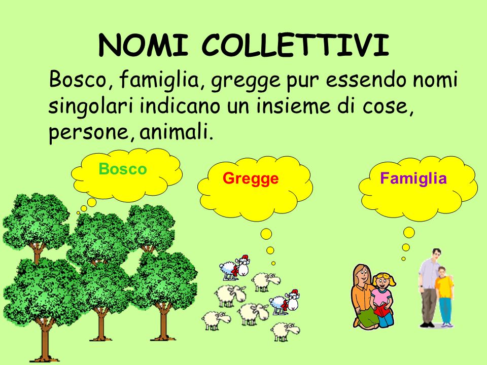 NOMI COLLETTIVI Bosco, famiglia, gregge pur essendo nomi singolari indicano un insieme di cose, persone, animali.