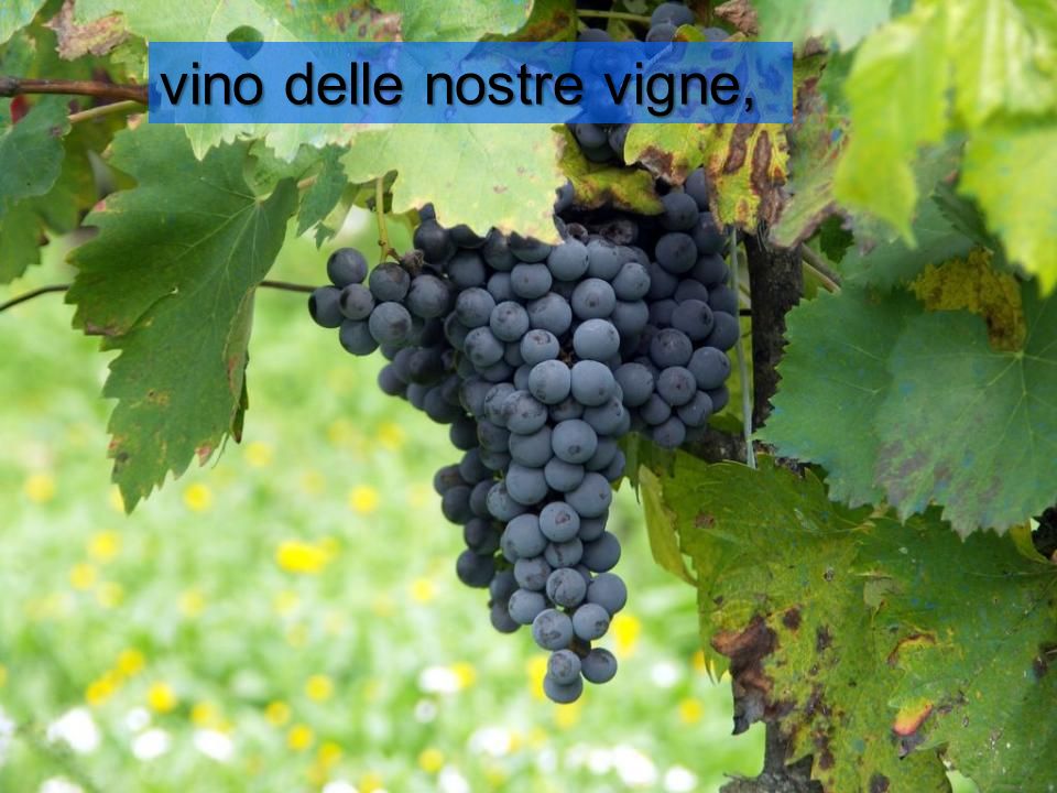 vino delle nostre vigne,