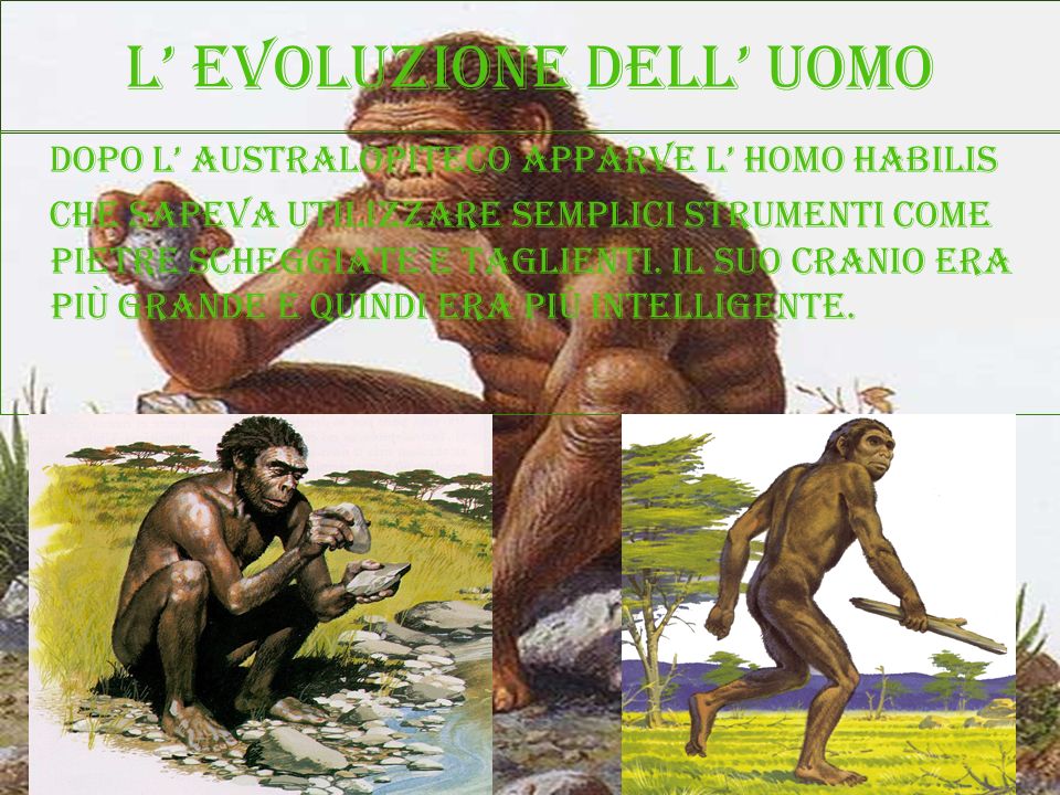 L’ evoluzione dell’ uomo