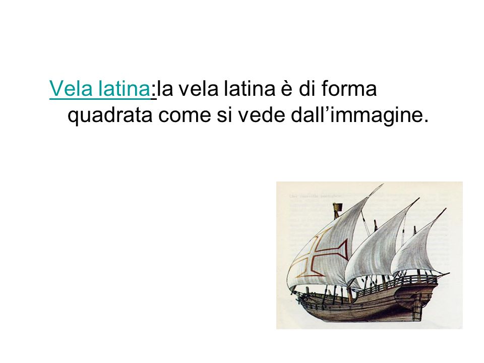 Vela latina:la vela latina è di forma quadrata come si vede dall’immagine.