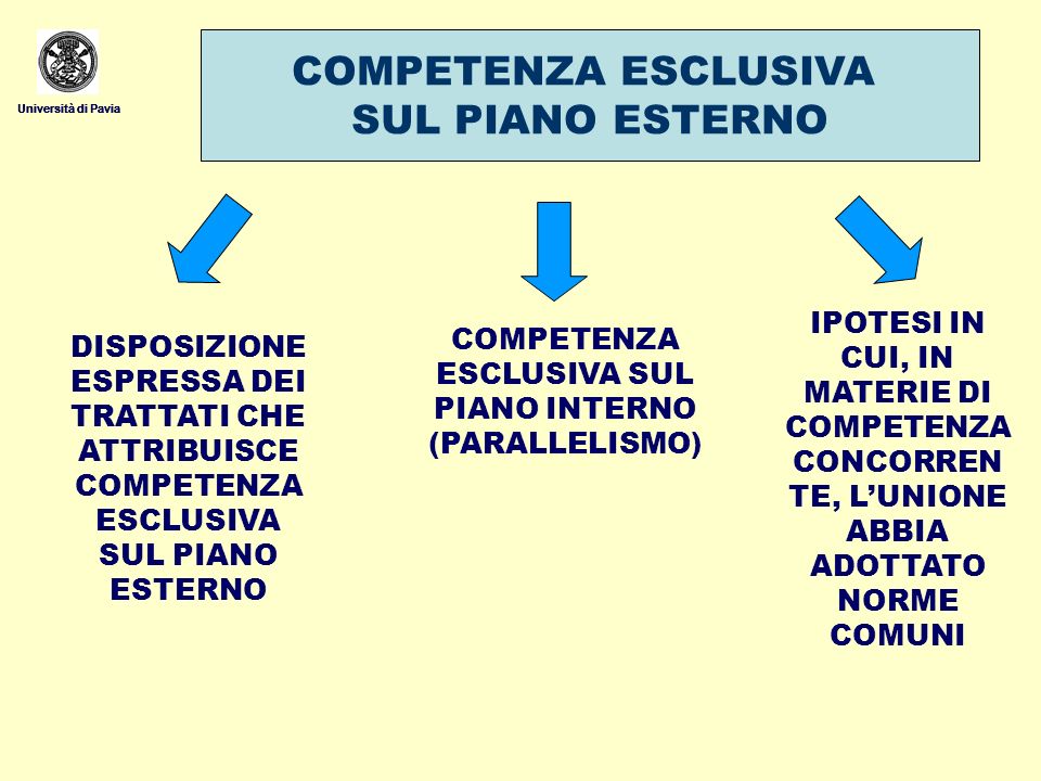 COMPETENZA ESCLUSIVA SUL PIANO INTERNO (PARALLELISMO)