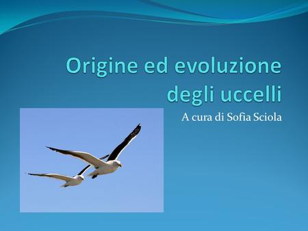 Origine ed evoluzione degli uccelli