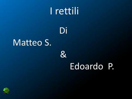 I rettili Di Matteo S. & Edoardo P..