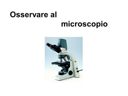 Osservare al microscopio