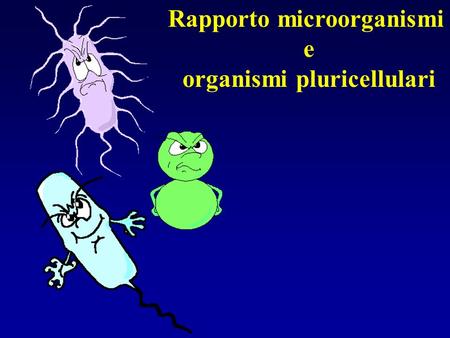 Rapporto microorganismi organismi pluricellulari