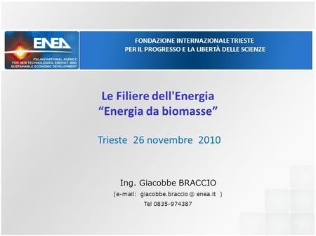Le Filiere dell'Energia “Energia da biomasse”