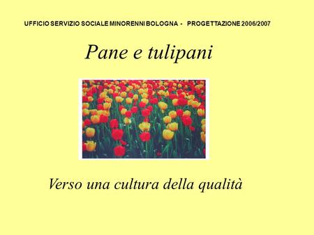 Pane e tulipani Verso una cultura della qualità UFFICIO SERVIZIO SOCIALE MINORENNI BOLOGNA - PROGETTAZIONE 2006/2007.