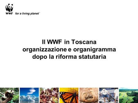 La Rete Territoriale • Associazione WWF di Arezzo, Presidente Simona Perugini, • Associazione WWF di Prato, Presidente Annamaria.