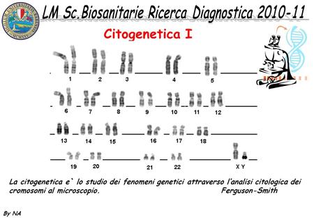 Citogenetica I La citogenetica e` lo studio dei fenomeni genetici attraverso l’analisi citologica dei cromosomi al microscopio.