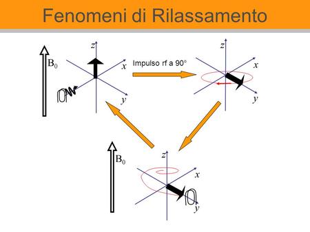 Fenomeni di Rilassamento z x y Impulso rf a 90° z B0B0 B0B0 x y x y z.