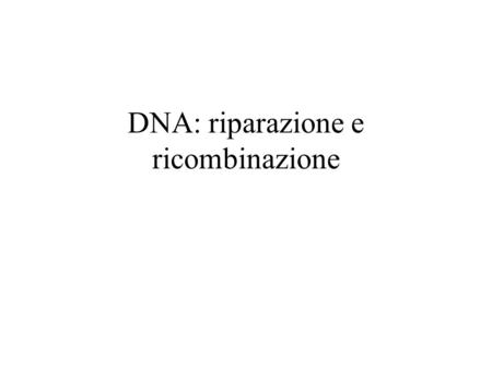 DNA: riparazione e ricombinazione