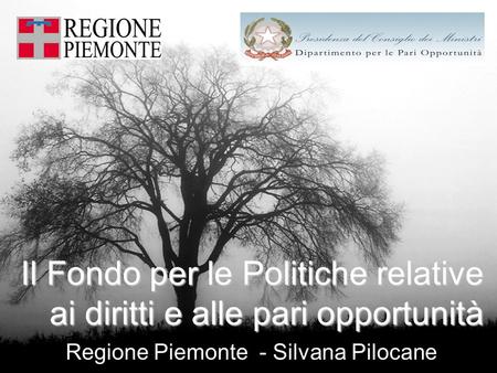 Il Fondo per le Politiche relative ai diritti e alle pari opportunità Regione Piemonte - Silvana Pilocane.