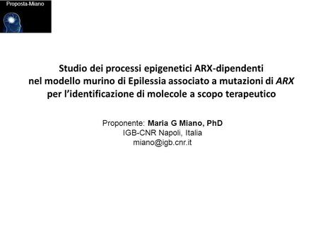 Studio dei processi epigenetici ARX-dipendenti
