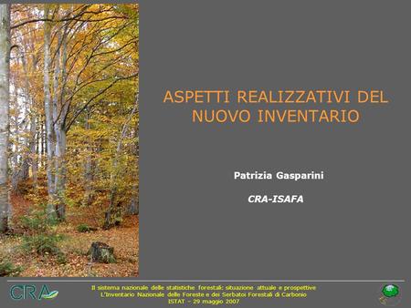 ASPETTI REALIZZATIVI DEL NUOVO INVENTARIO Patrizia Gasparini CRA-ISAFA