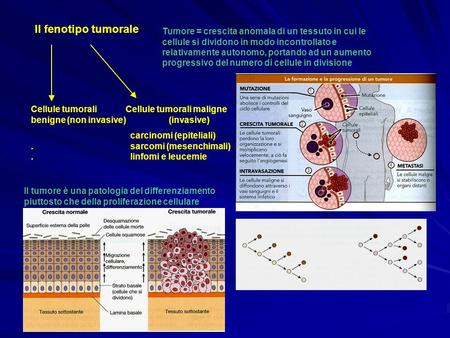 Il fenotipo tumorale Tumore = crescita anomala di un tessuto in cui le cellule si dividono in modo incontrollato e relativamente autonomo, portando ad.