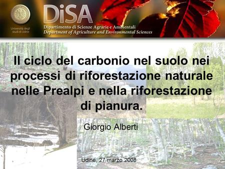 Il ciclo del carbonio nel suolo nei processi di riforestazione naturale nelle Prealpi e nella riforestazione di pianura. Giorgio Alberti Udine, 27 marzo.