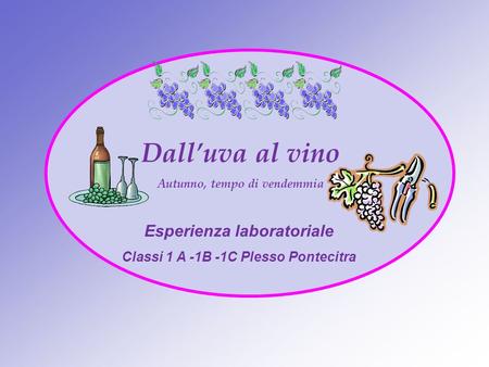 Dall’uva al vino Esperienza laboratoriale