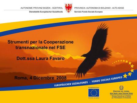 Strumenti per la Cooperazione transnazionale nel FSE Dott.ssa Laura Favaro Roma, 4 Dicembre 2008.