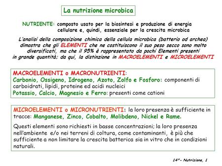 La nutrizione microbica