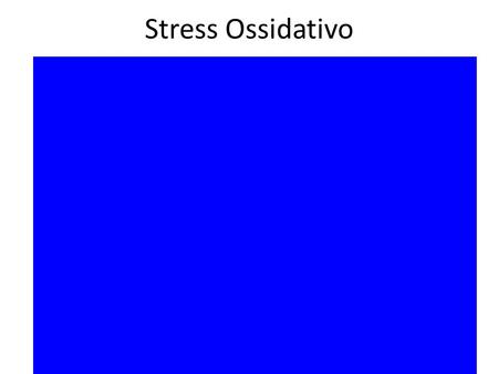 Stress Ossidativo.