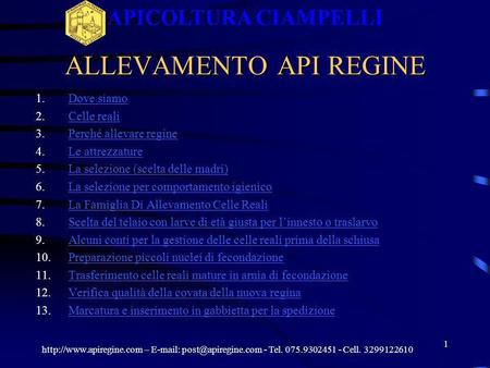 ALLEVAMENTO API REGINE