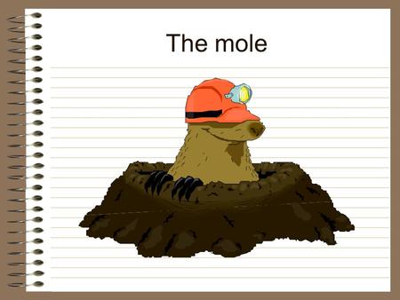 The mole.